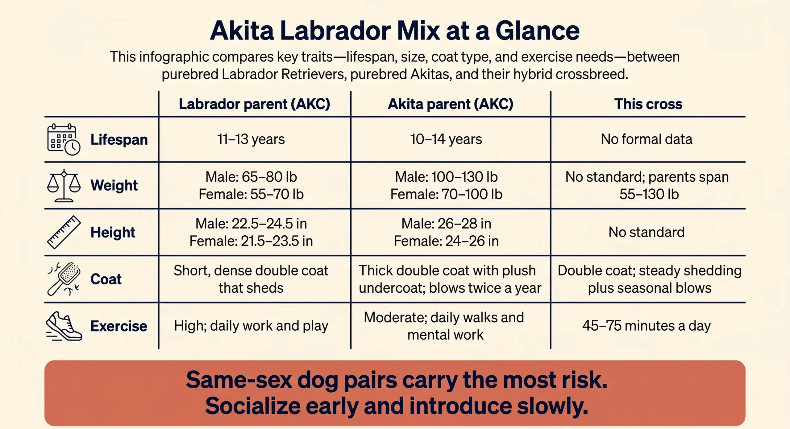 Infographic comparing Labrador and Akita parent ranges for size, coat, and exercise, with no single weight for the cross