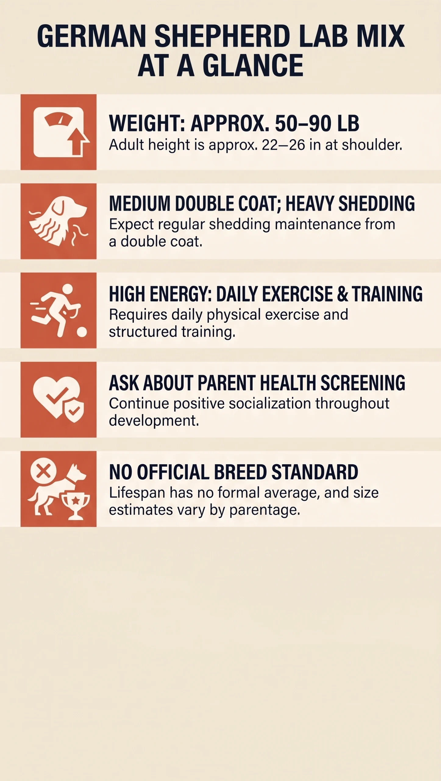 German Shepherd Lab mix overview with approximate adult size, coat, activity needs, and parent health screening