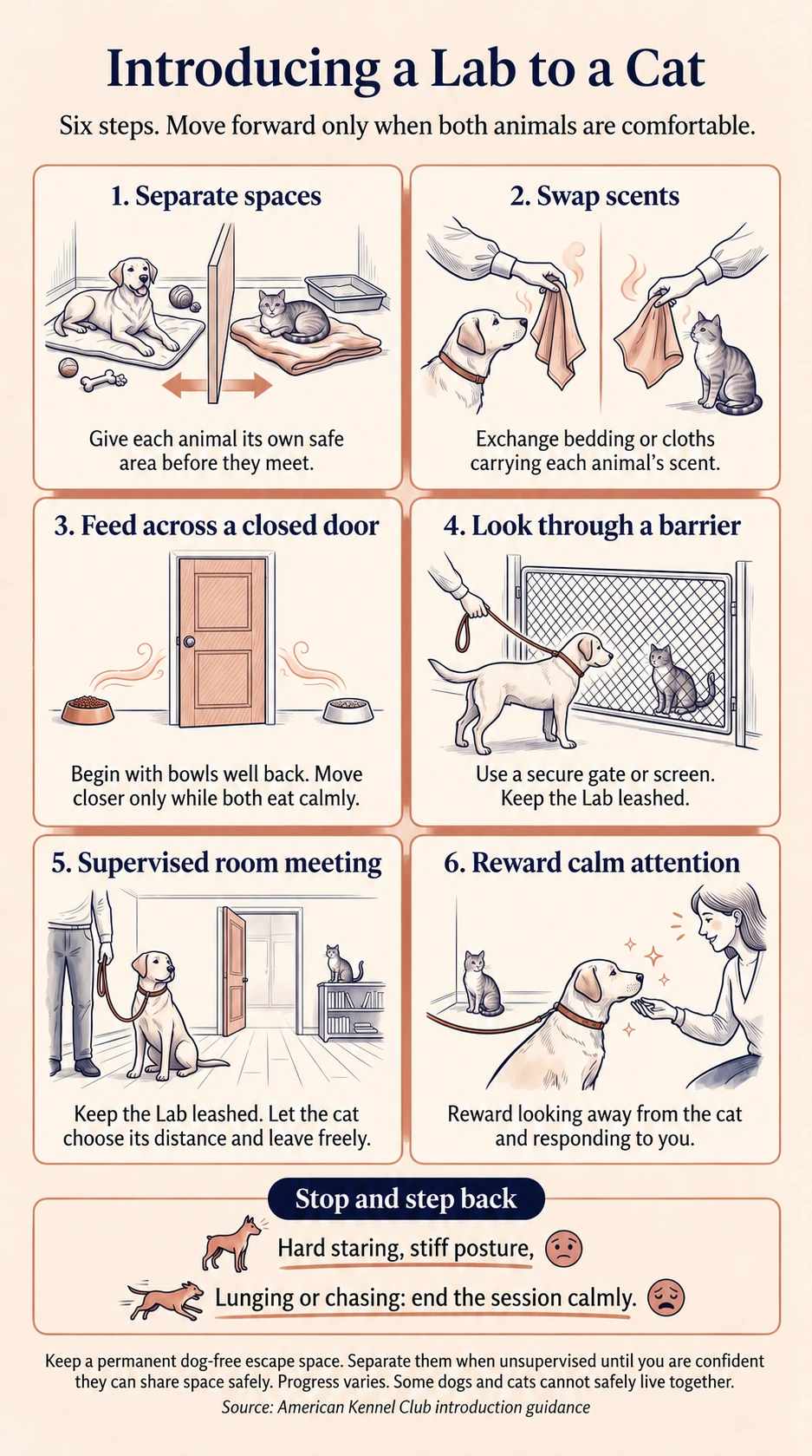 Six gradual dog and cat introduction steps with stop signals and a dog-free escape space
