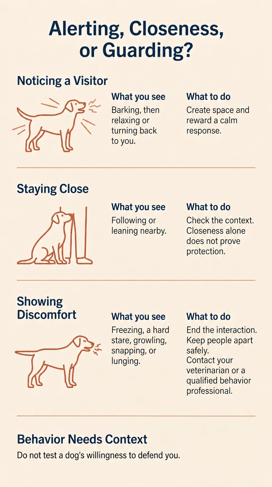 Three behavior examples in a Labrador: noticing a visitor, staying close, and showing discomfort, with safe owner responses
