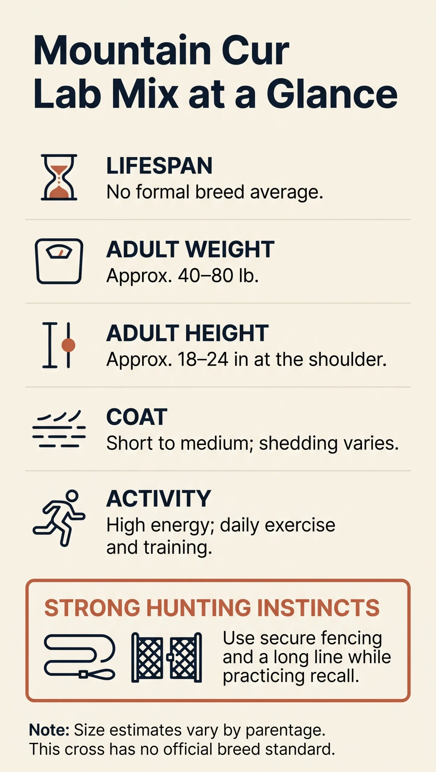 Mountain Cur Lab mix overview with approximate adult size, coat, activity needs, and recall safety